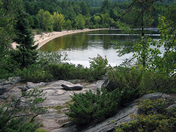 Beach adjacent to the Tom Thomson Jack Pine site