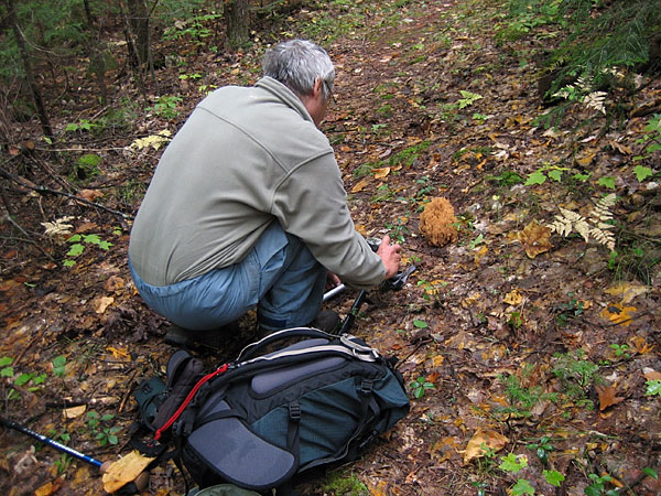 Photographing the Fungus