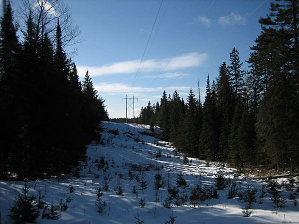 Power line in the Petawawa Research Forest