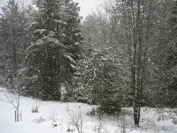 April snow shower