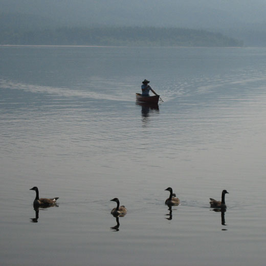 solo canoeist with geese