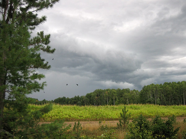 Storm clouds squall country road
