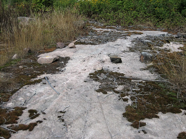 in the Petawawa Research Forest
