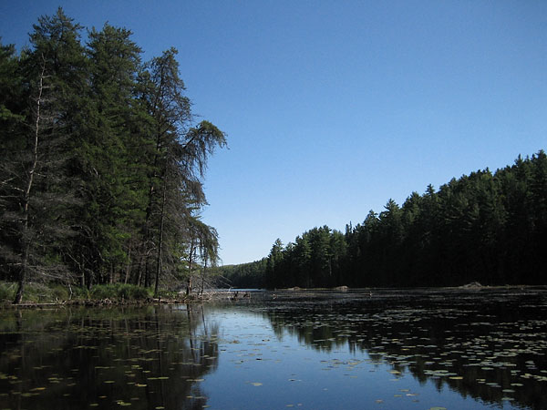 Rouge Lake in Algonquin Park