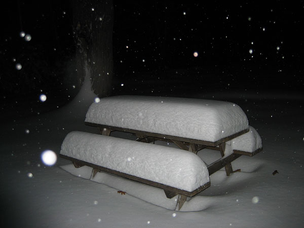 Picnic Table Snow Gauge