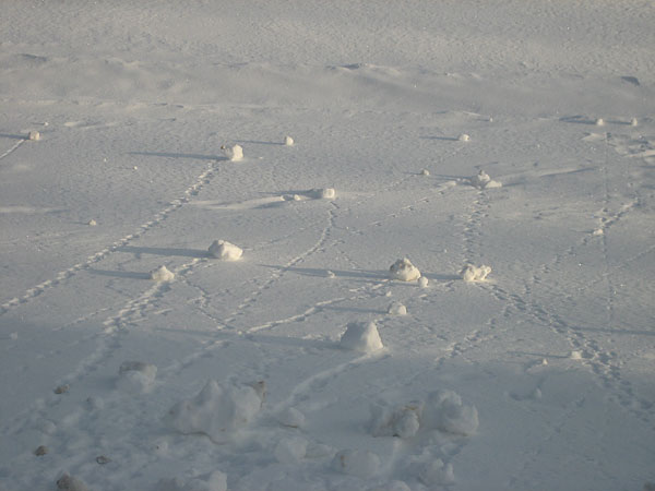 snow rollers along the Deep River Waterfront