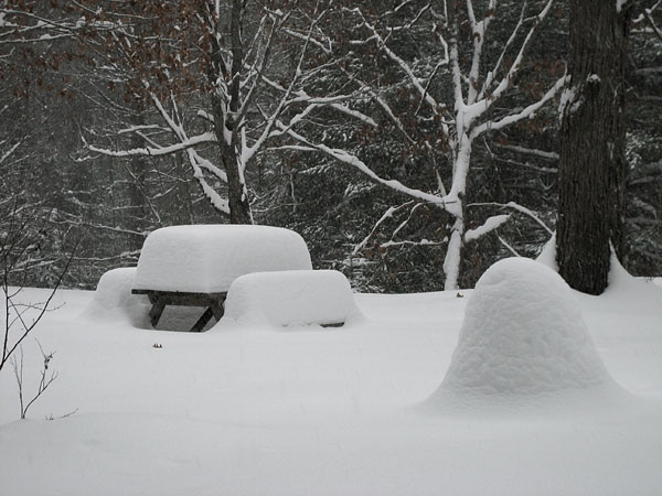 Picnic table snow gauge