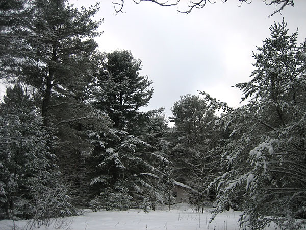 Barn in Winter