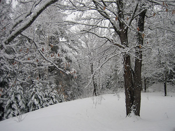 late season snow at Point Alexander