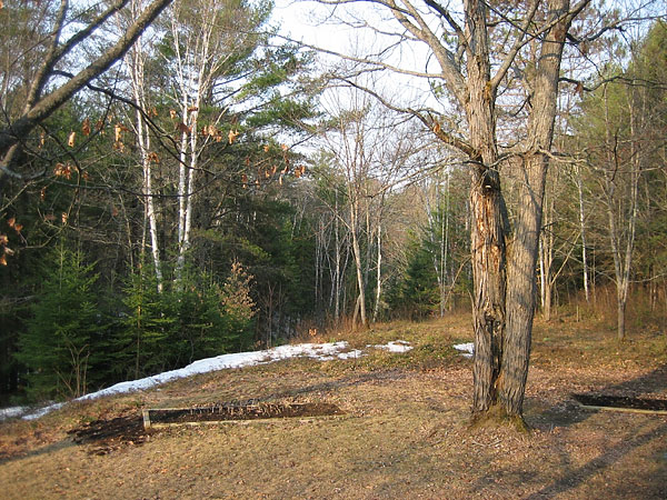 Late season snow melted in Point Alexander