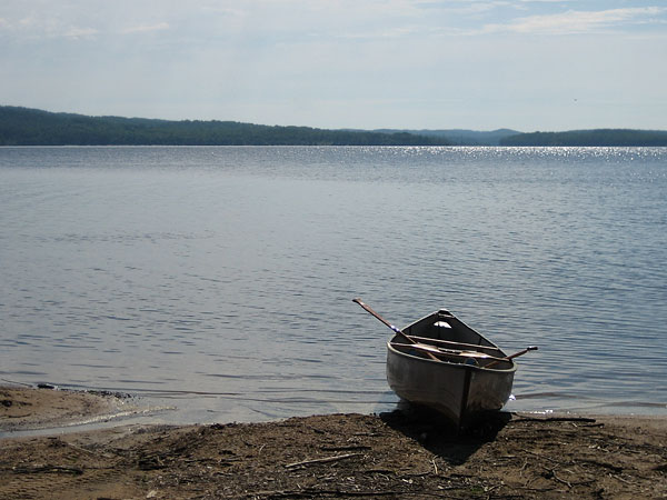 Cedar lake in Algonquin Park