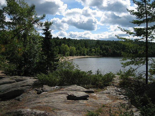 at the Tom Thomson Jackpine site on Grand Lake in Algonquin Park