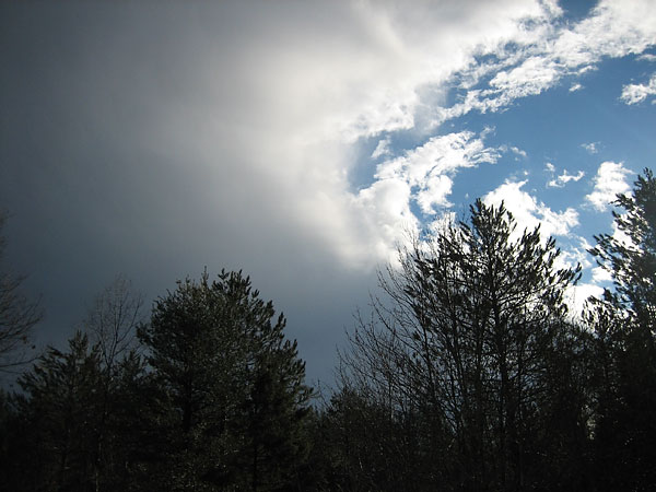 cold front