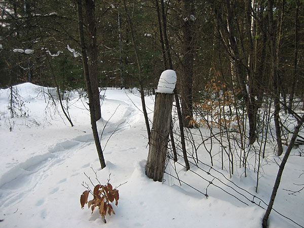 Snow on wooden fence post in Point Alexander