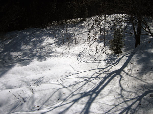 shadows on snow