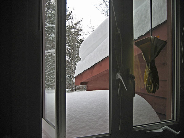 window view