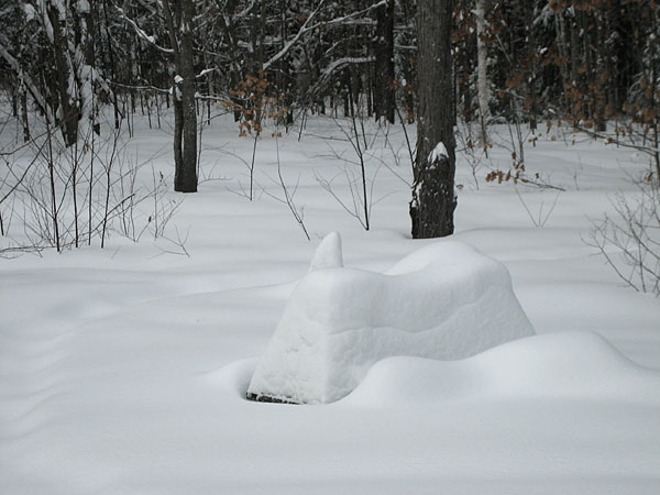 Picnic Table Snow Gauge
