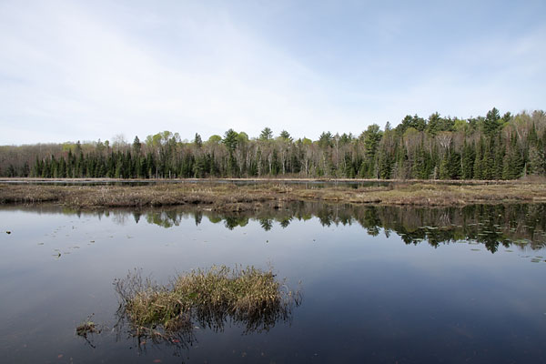 Cranberry lake along the Deep River Cross Country Ski Trails