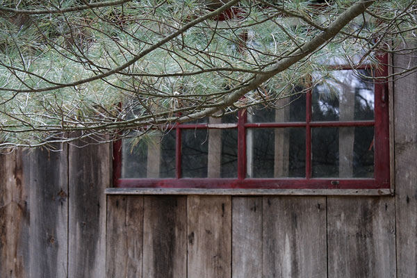 Window
