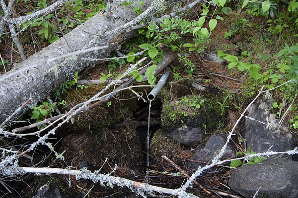Cartier Lake Spring