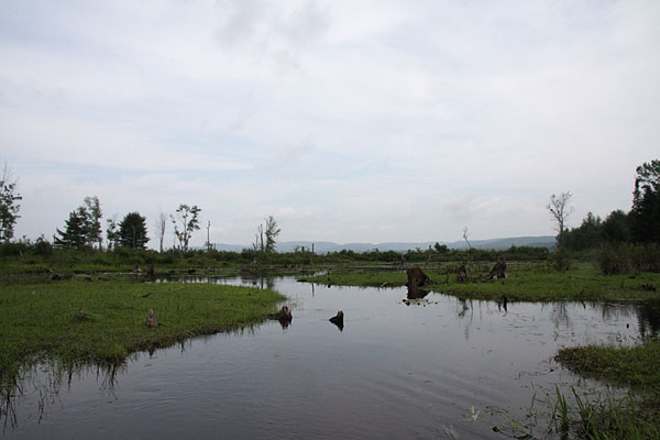 Mouth of Kennedy Creek on the Ottawa River