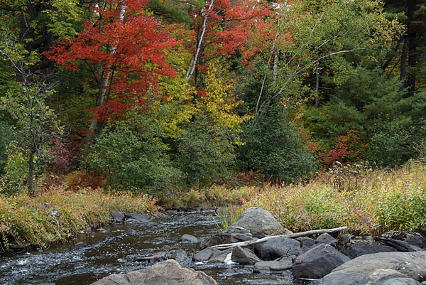 Chalk River fall colours