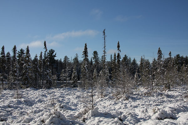 Maunsell Lake in the Petawawa Research Forest