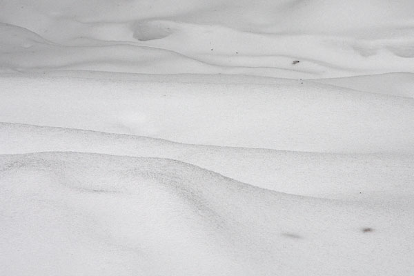 Soggy Snow with an ice crust