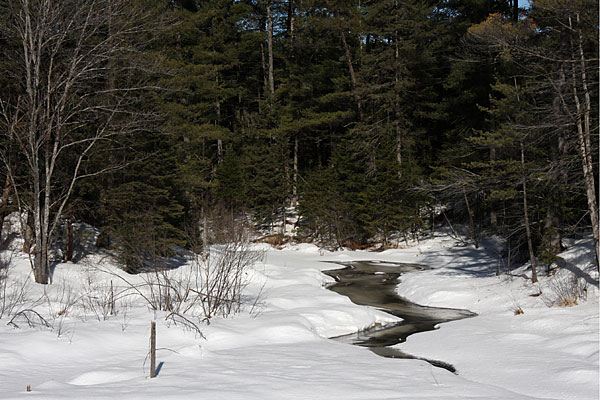 Tucker Creek at Hwy 17 in CFB Petawawa