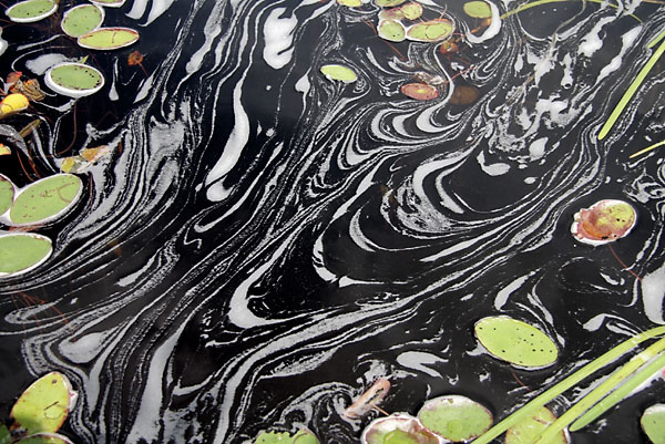North River as it flows into Allan Lake in Algonquin Park