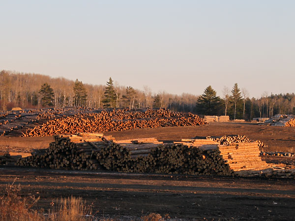 Murray Brothers Lumber Company in Madawaska Ontario