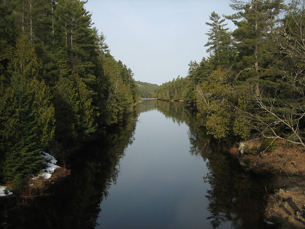 Barron River in Algonquin Park
