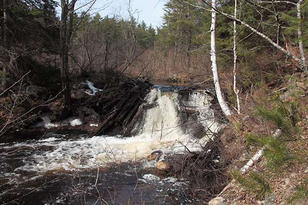 remains of timber slide on Forbes Creek in Algonquin park