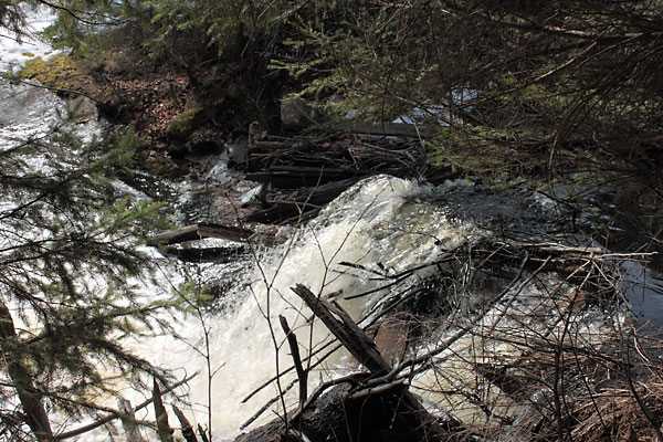 remains of timber slide on Forbes Creek in Algonquin park