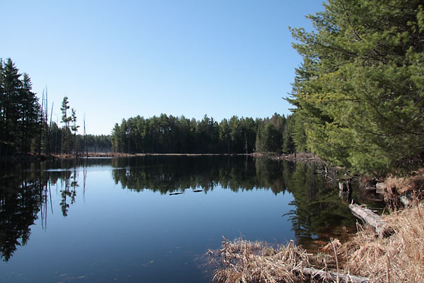 Along the Basin Depot Road in Algonquin Park
