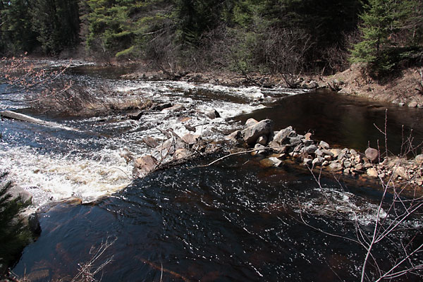 The remains of Bridge Dam on the Little Bonnechere River in Algonquin Park
