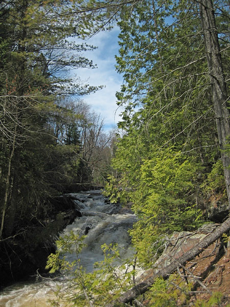 High Falls on the Little Bonnechere River in Algonquin Park