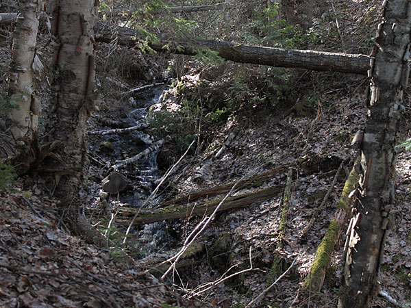 Gilmour Creek falling into the Brent Crater in Algonquin Park