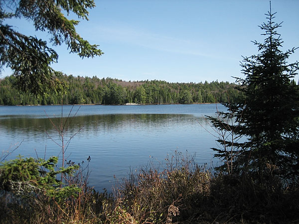 Muskwa Lake along the Brent Road in Algonquin Park