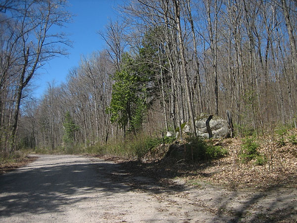 Spring along the Brent Road