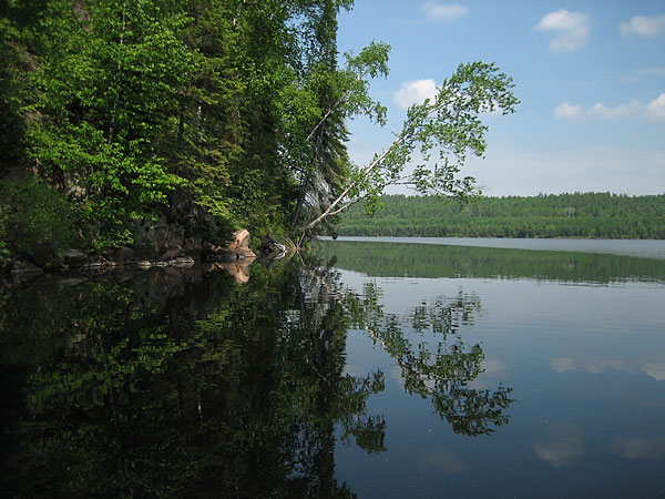 reflections