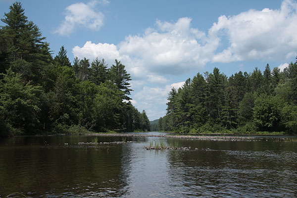 Petawawa River in Algonquin Park at the foot of Five Mile Rapids