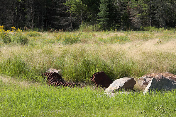 rusty culverts in beaver meadow in the Petawawa Research Forest