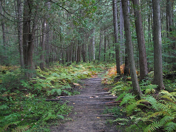 rloop on the DRXC ski trail system