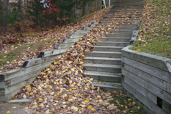 stairs and leaves at Driftwood Provincial Park