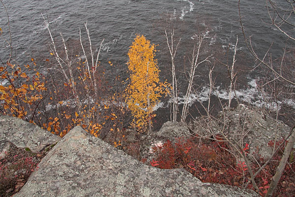 cliff top at Driftwood Provincial Park