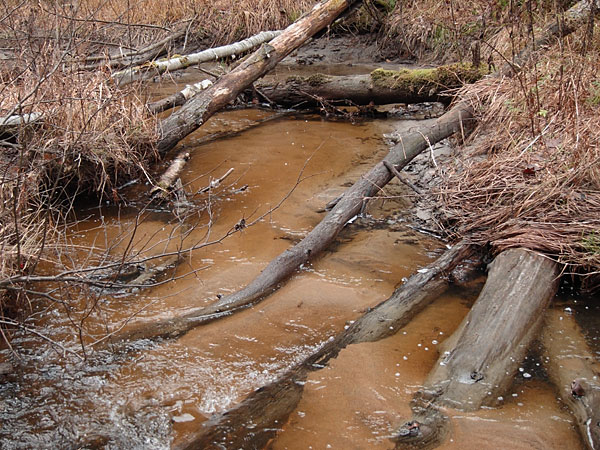 McConnell Creek