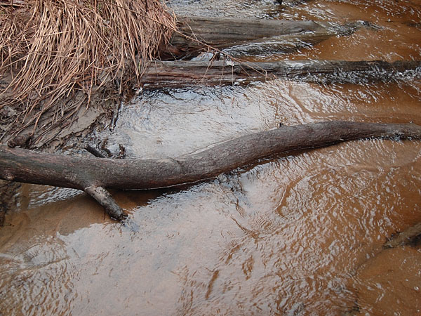 McConnell Creek
