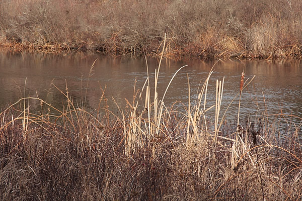Chalk River