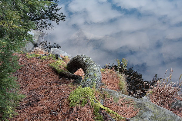 Jack Lake along the Hemlock Bluff trail in Algonquin Park